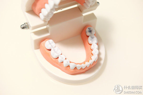 Lebooo 力博得 FA优漾 声波电动牙刷