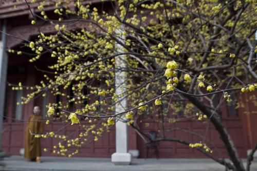 中国最霸道的景区就在浙江，门票75元要买两道，但很多人去玩！