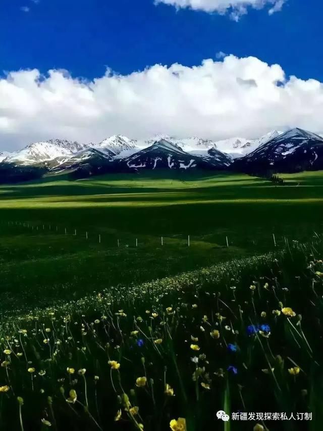 去了北疆才知道，中国有多大；去了南疆才知道，中国有多美