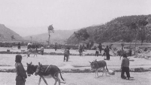 70年代老照片：让人怀念的生产队时期，每一张照片都充满了历史感