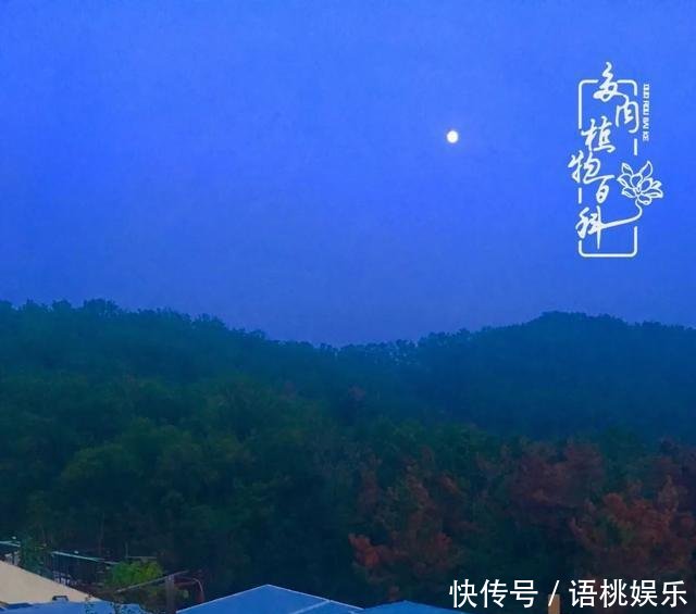  #喜欢#一粥一饭填饱肚子，一屋一花神仙日子！生命不止，玩趣不停！