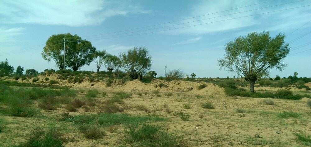 一整片千年沙漠被中国“干掉”了？联合国为此给出极高评价！