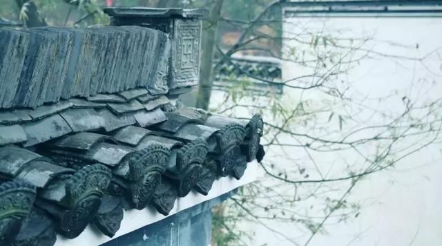 “最美乡村”的称号的婺源花开得美爆了！