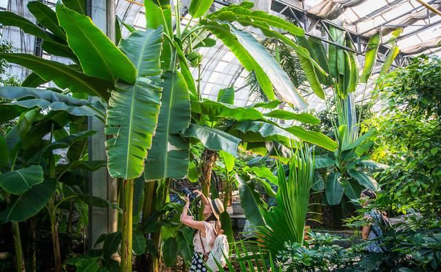 中国北方城市投资2.6亿,建亚洲最大室内热带植物园,看看有什么