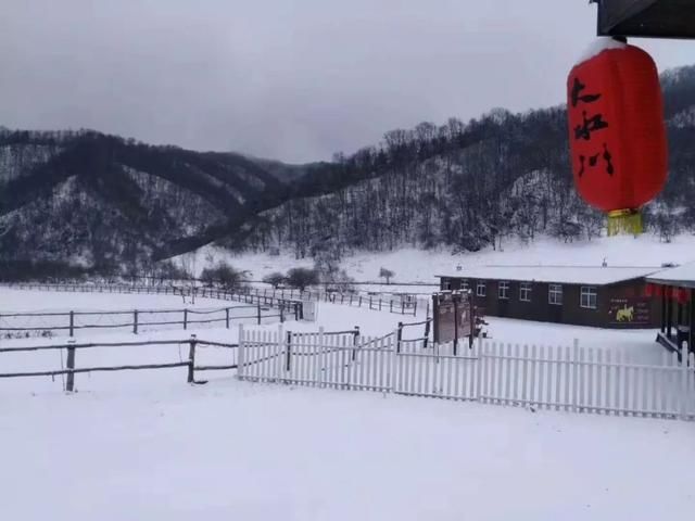 初冬已至，降温来袭 | 陕西这些地方已经下雪啦！想看雪景的走起