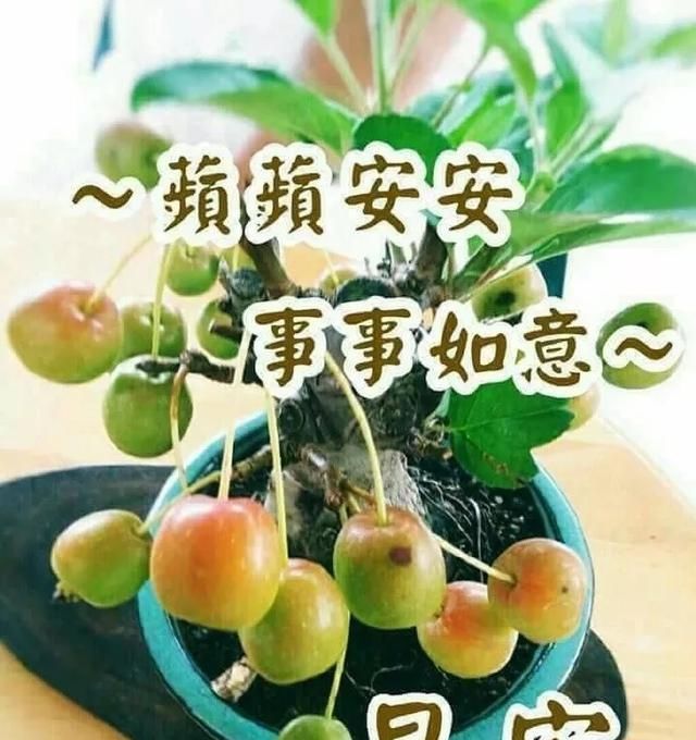  但一定@人海中有你，是一道风景；生活中有你，是一种幸福