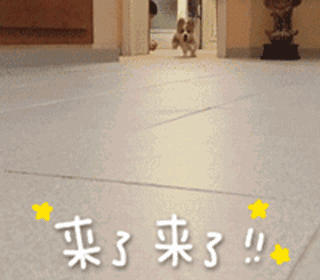 「适合」40条春季吊带裙示范, 适合微胖女生!
