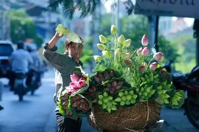  #盘点#盘点一组照片，来欣赏下美丽的越南风景吧！