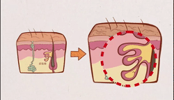 我不光想看宫斗戏,更想get娘娘们的护肤大法!