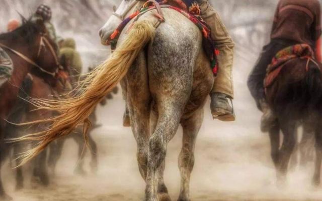 居住在沙漠中的神秘民族，政府多次建议搬迁出去，当地人却拒绝