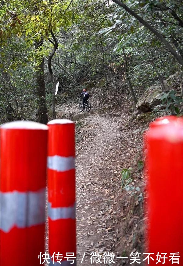 岳麓山“长出”拦路梅花桩，挡不住骑行爱好者