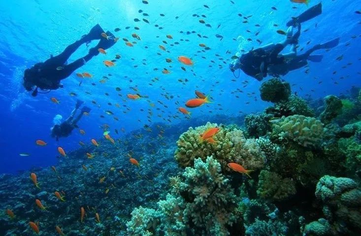 全球唯一没有癌症的国家！跨双时空！比马代便宜，比塞班纯净...