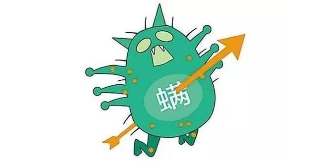 脸上螨虫成窝？一块硫磺皂，捣毁螨虫窝？