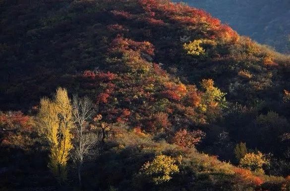 这里真是了不得，大山里原生态的古村落，北京最美的乡村之一！