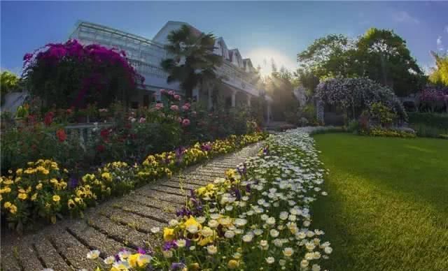 66岁大叔，8年时间打造出了中国最美私家花园，让人叹为观止！