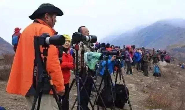 九月的新疆逼疯摄影师，勾走了你的魂