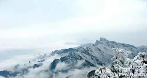 河南大范围的降雪已经到了, 小雪、中雪、大雪, 喜欢的赶紧来吧