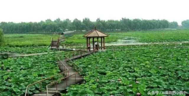 中国最 '宰人＂景区 土豪也不敢轻易去