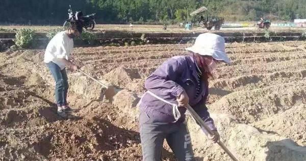  【答案】春耕农忙已到，如今农民能下地干活吗？答案已出，看完