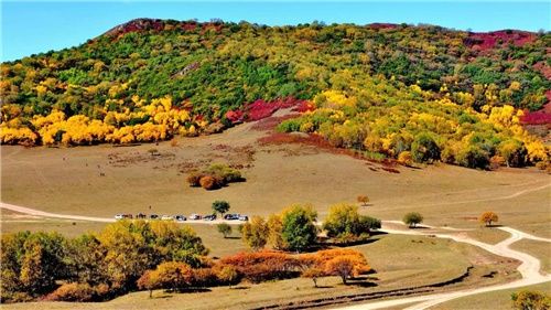 两千块也能玩出小众新天地?带你深度体验秋天最美神秘大草原