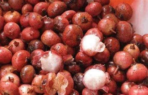  城里人■这种长在地里的水果，农村人舍不得吃,全卖给城里人！