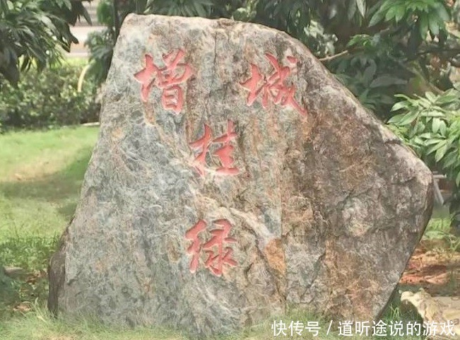 全世界最贵的一种水果，1粒售价55万元，农民只要有一棵就发了