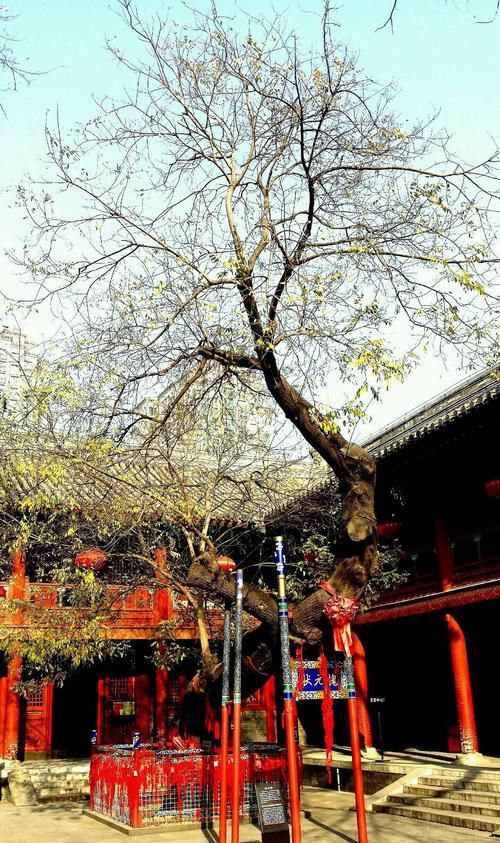  【皇帝】中国最牛寺庙，曾接待过56位皇帝，如今门票仅15元！