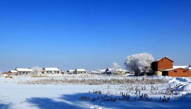 冬天正确打开方式:中国四大自然奇观之一,雾凇岛并不是“照骗”