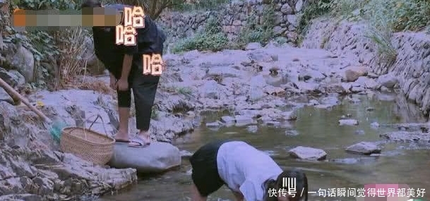 感觉郑爽也不爱张恒