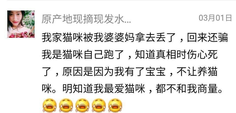 还在相信怀孕不能养宠物吗？ 连央视新闻都出来辟谣了!