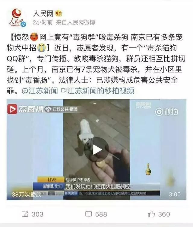 还真的以为投放异烟肼毒狗安全不犯法?这些事实分分钟给你打脸!