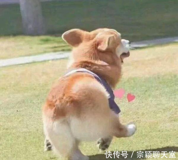  『形耳环』什么脸型戴什么耳环，挑对了脸小一圈！（含耳夹）