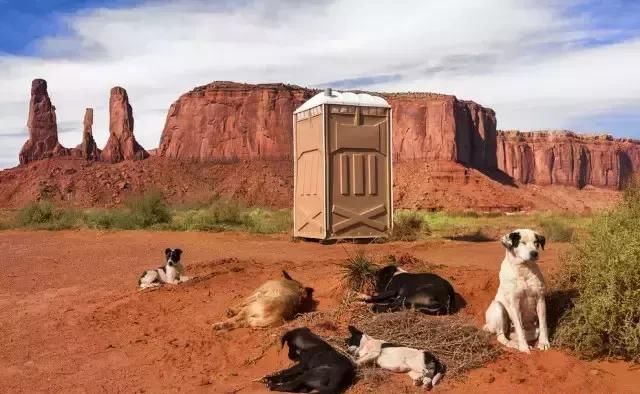 这些厕所太奇葩了！谁敢上啊！