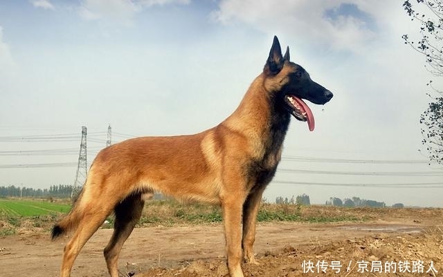  【出能】农村老人说“宅子现四喜，家中出能人”，具体是说哪“四喜”？