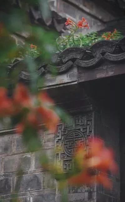 绿满深秋——老门东