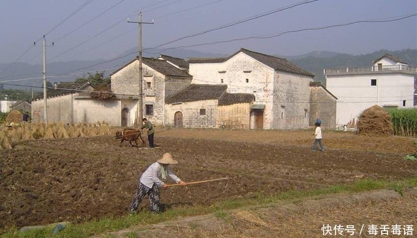  「农村土地」农村土地迎来大规模归并，一户一田不是“一刀切”