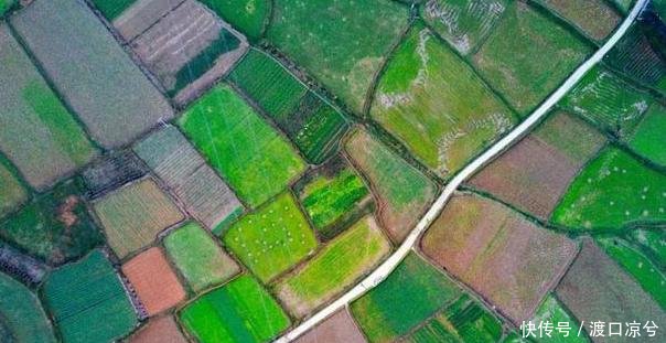  「关系」中央宅基地新规定，农村有房有地的看过来！5项政策关系