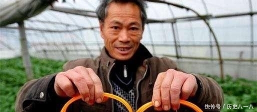  必有近忧■鼠年已至，无远虑必有近忧，农村60至80后该考虑这两