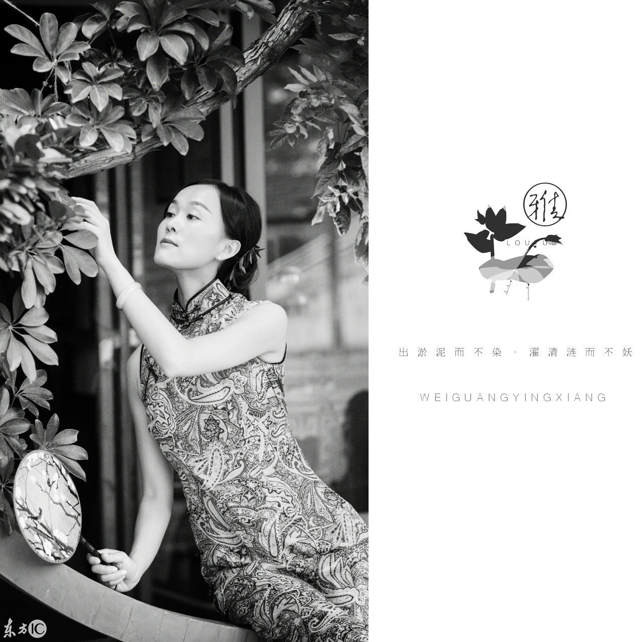 旗袍女人 韩韩淑,贤,尤,媚,荷,秀,茶,雅,韵