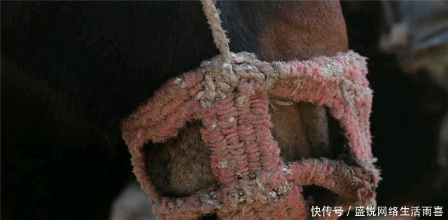 农村这些老物件，如今价值不菲，第4个价值十几万，农民要保管好