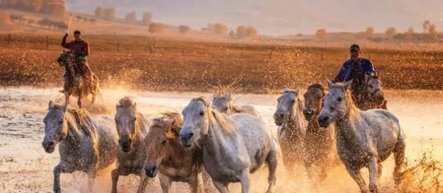 有一种美，叫秋天的乌兰布统