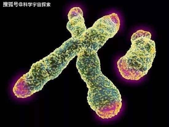 公式@人类的极限寿命是多少岁科学家用3个公式,算出人类寿命极限值