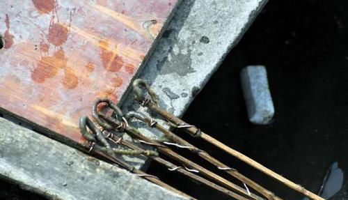  「更肥」为什么河岸边石头缝里钓到的黄鳝更肥更大？老头给了我答案