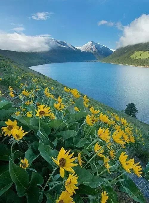 天堂照片!(快看)