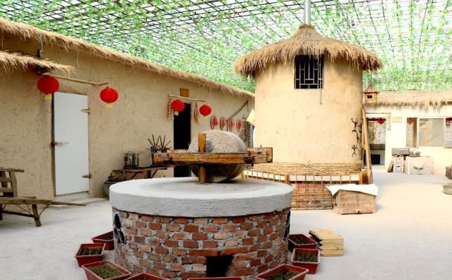 五年内，农村两大特色产业将会崛起，抓住机遇的人收入不比打工少