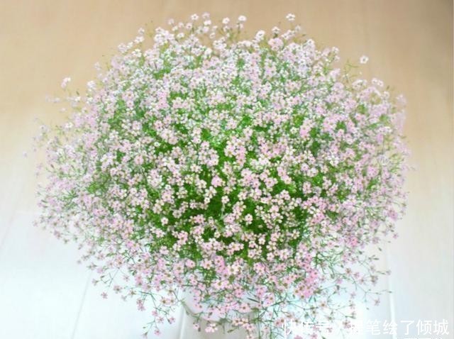 #不到#不到1平方的窗台,被她养成小花园,比院子还美!