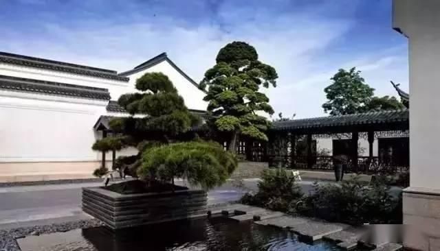 『此生』我一生中,有你,有花,有院,此生足矣!