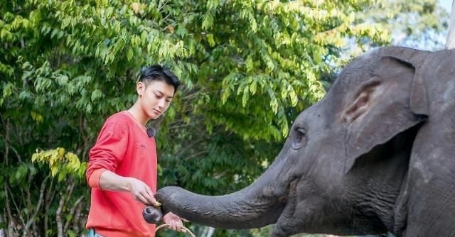  【追球】《小小的追球》收官倒计时 黄子韬化身森林里的“小漂亮”