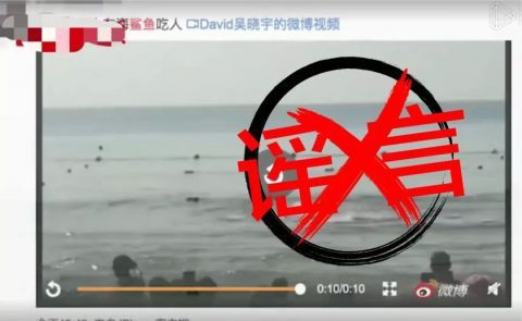 大东海■三亚大东海海滩出现鲨鱼咬人？官方辟谣：假的！