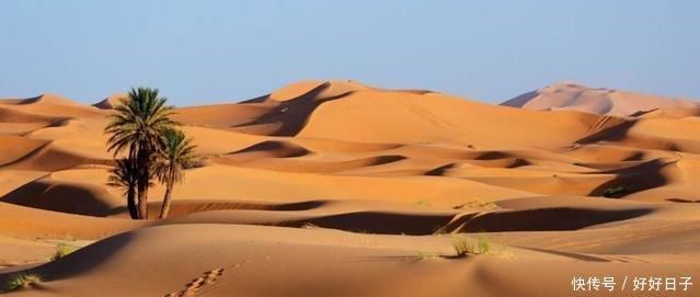  堪称■中国又显“洪荒之力”！百万吨黄河水倒灌内蒙沙漠，堪称